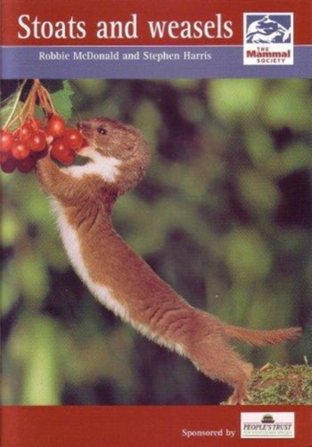 Book cover of: Stoats and Weasels