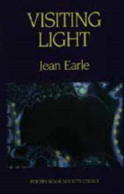 Book cover of: Visiting Light