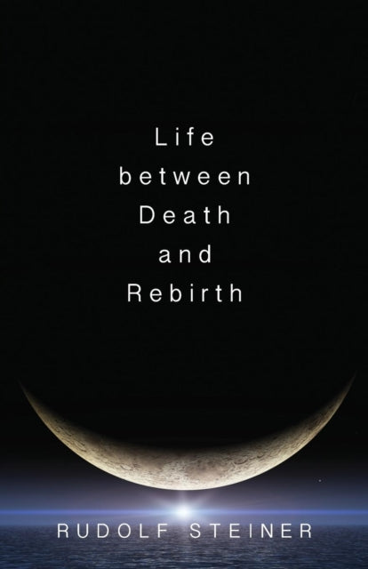 Book cover of: Life Between Death and Rebirth