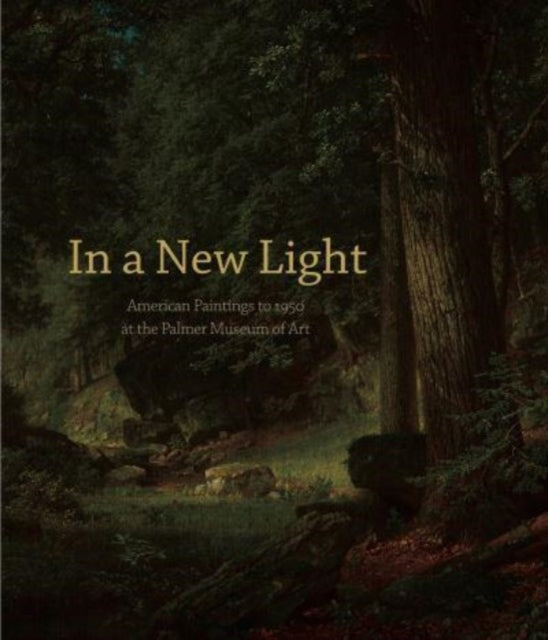 Book cover of: In a New Light