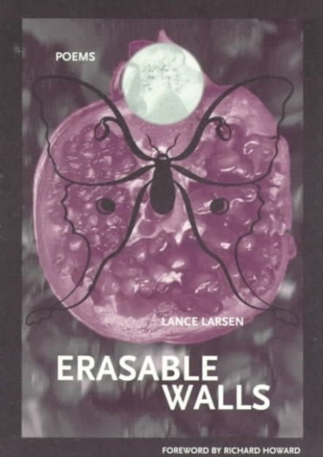 Book cover of: Erasable Walls. By: Lance Larsen