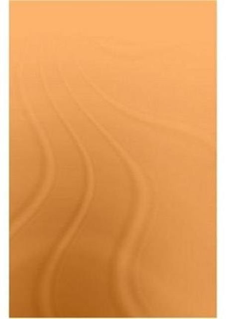 Book cover of: Persian Literature - A Biobibliographical Survey. By: C. A. Storey