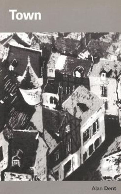 Book cover of: Town