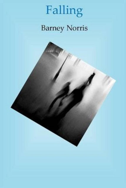 Book cover of: Falling