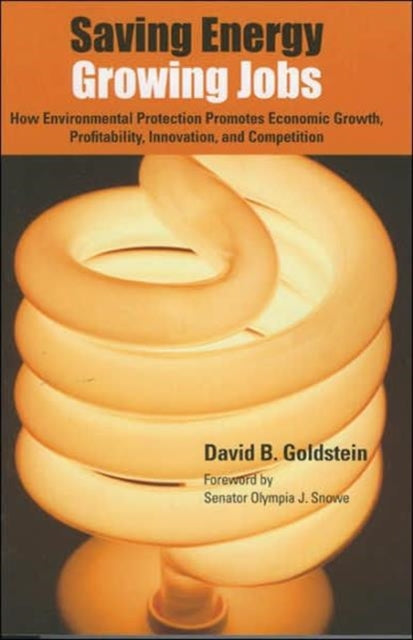 Book cover of: Saving Energy, Growing Jobs. By: David B. Goldstein