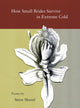 Book cover of: How Small Brides Survive in Extreme Cold