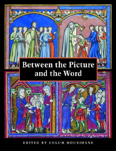 Book cover of: Between the Picture and the Word