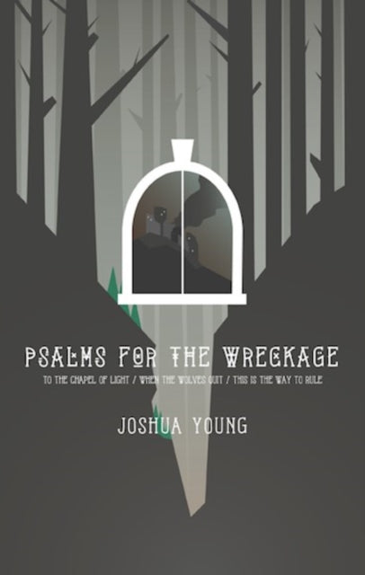Book cover of: Psalms for the Wreckage. By: Young Joshua