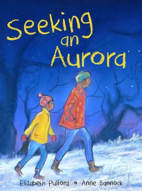 Book cover of: Seeking an Aurora. By: Elizabeth Pulford