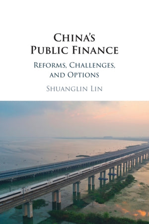 China's Public Finance