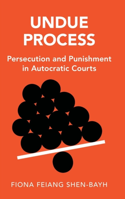 Book cover of: Undue Process. By: Fiona Feiang Shen-Bayh