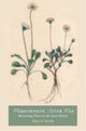 Book cover of: Wordsworth After War. By: Philip Shaw