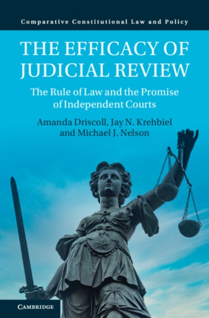 Book cover of: Efficacy of Judicial Review. By: Amanda Driscoll