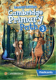 Book cover of: Cambridge Primary Path Level 3 Flashcards
