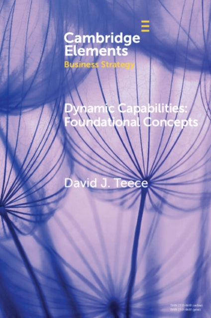 Book cover of: Dynamic Capabilities
