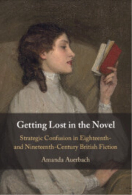 Book cover of: Getting Lost in the Novel