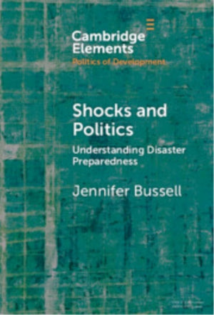 Shocks and Politics