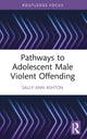 Book cover of: Pathways to Adolescent Male Violent Offending. By: Sally-Ann Ashton