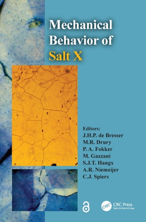 Mechanical Behavior of Salt X