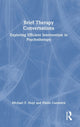 Book cover of: Brief Therapy Conversations. By: Michael F. Hoyt