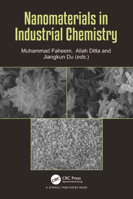 Nanomaterials in Industrial Chemistry