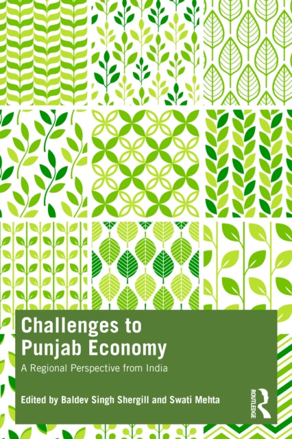 Challenges to Punjab Economy