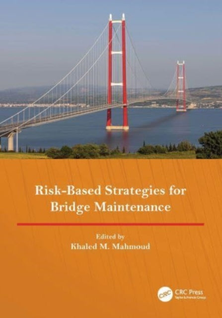 Book cover of: Risk-Based Strategies for Bridge Maintenance. By: Khaled M. Mahmoud