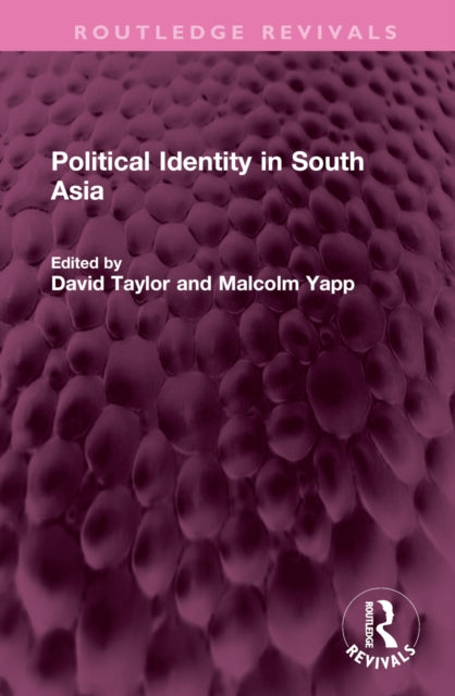 Book cover of: Political Identity in South Asia. By: David Taylor