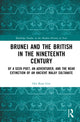 Book cover of: Brunei and the British in the Nineteenth Century