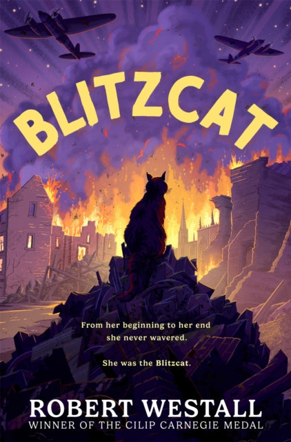 Blitzcat 9781035058334 Robert Westall