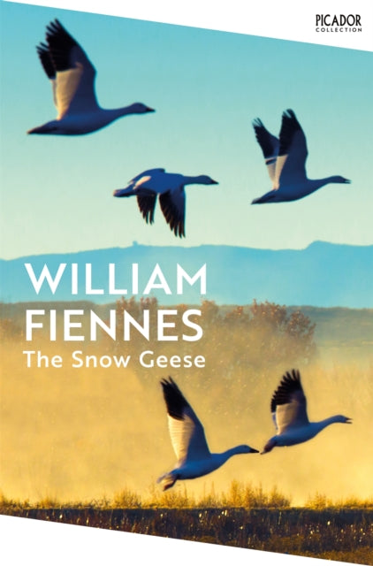 Book cover of: Snow Geese. By: William Fiennes
