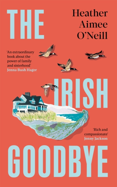 Book cover of: Irish Goodbye
