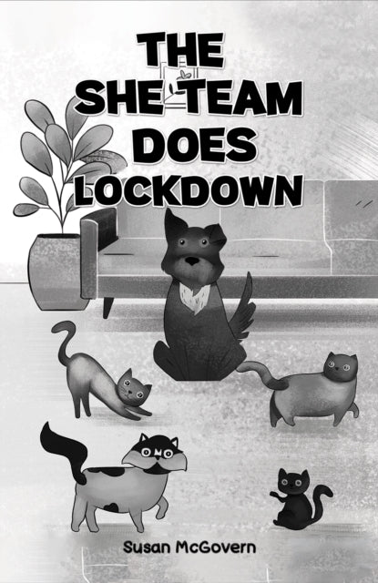 Book cover of: She Team Does Lockdown