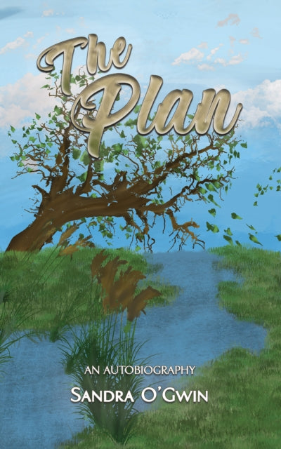 Book cover of: Plan