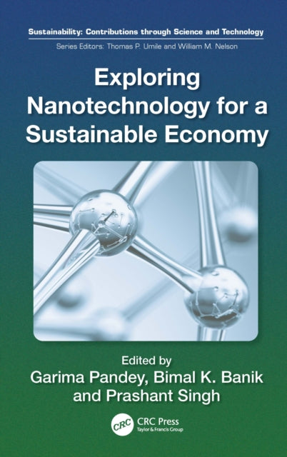 Book cover of: Exploring Nanotechnology for a Sustainable Economy