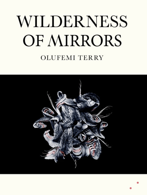 Wilderness of Mirrors