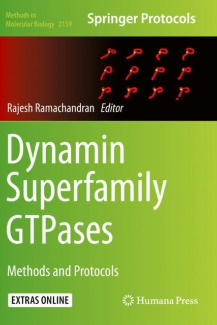 Book cover of: Dynamin Superfamily GTPases. By: Rajesh Ramachandran