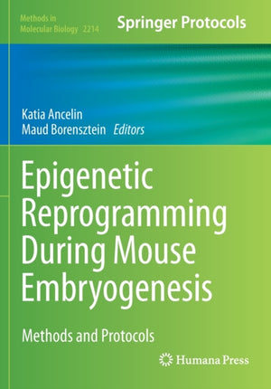 Epigenetic Reprogramming During Mouse Embryogenesis
