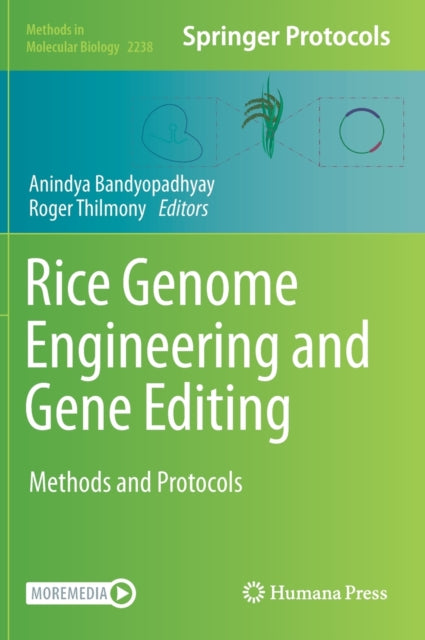 Book cover of: Rice Genome Engineering and Gene Editing. By: Anindya Bandyopadhyay