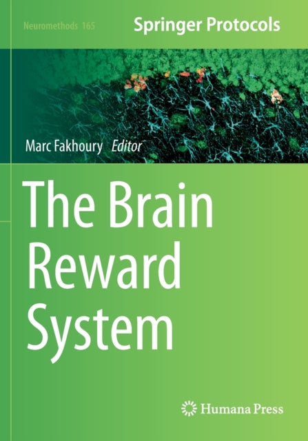 Book cover of: Brain Reward System. By: Marc Fakhoury