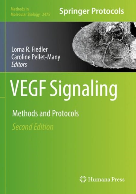 Book cover of: VEGF Signaling. By: Lorna R. Fiedler