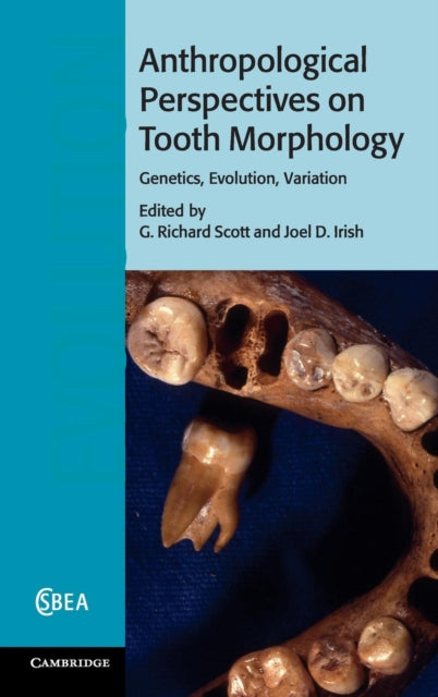 Book cover of: Anthropological Perspectives on Tooth Morphology