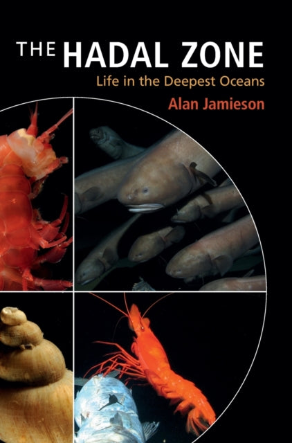 Book cover of: Hadal Zone. By: Alan Jamieson