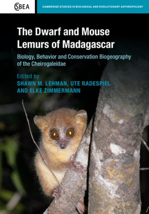 The Dwarf and Mouse Lemurs of Madagascar