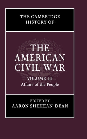 The Cambridge History of the American Civil War: Volume 3, Affairs of the People