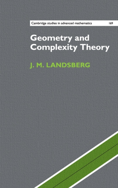Geometry and Complexity Theory