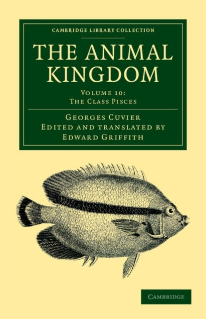 The Animal Kingdom