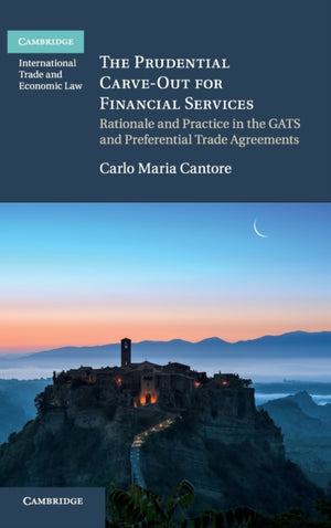 The Prudential Carve-Out for Financial Services