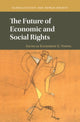 Book cover of: Future of Economic and Social Rights. By: Katharine G. Young
