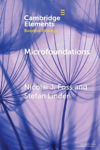 Microfoundations